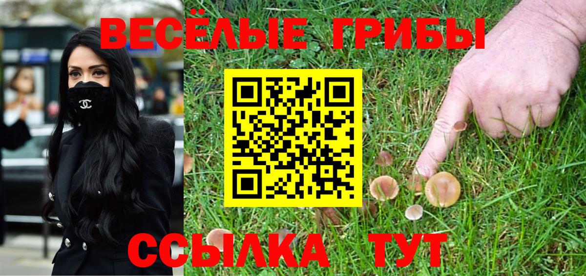 Псилоцибиновые грибы прущие грибы  Галлюциногенные грибы MAGIC MUSHROOMS  Екатеринбург  Вход с VPN 
