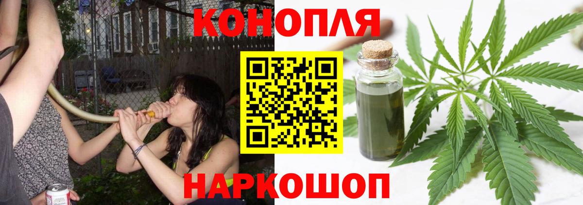 Конопля планчик Екатеринбург